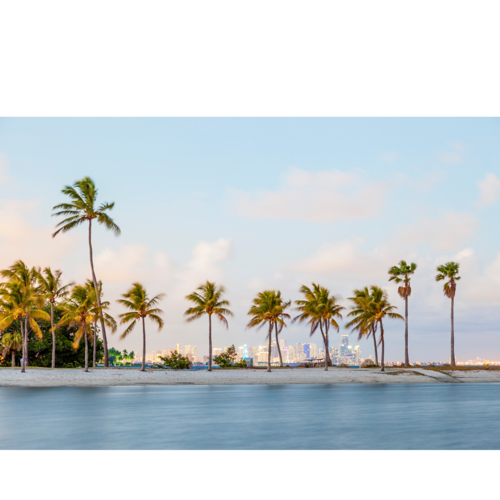 Florida | MVA Insurance