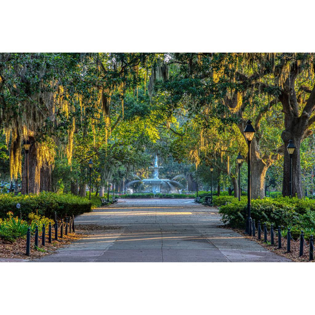 Affordable Life and Health Insurance in Savannah Georgia