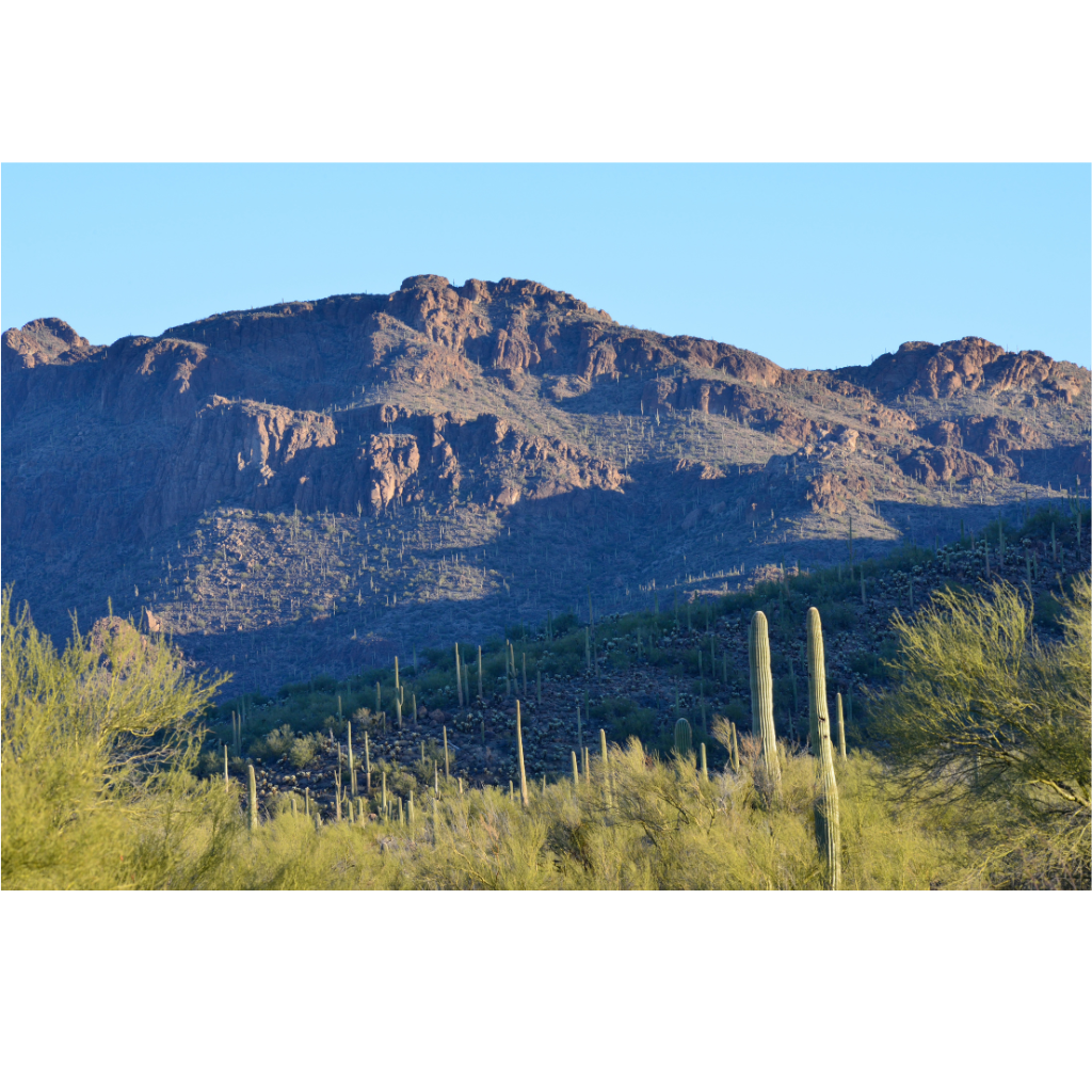 Affordable Life and Health Insurance in Tucson Arizona