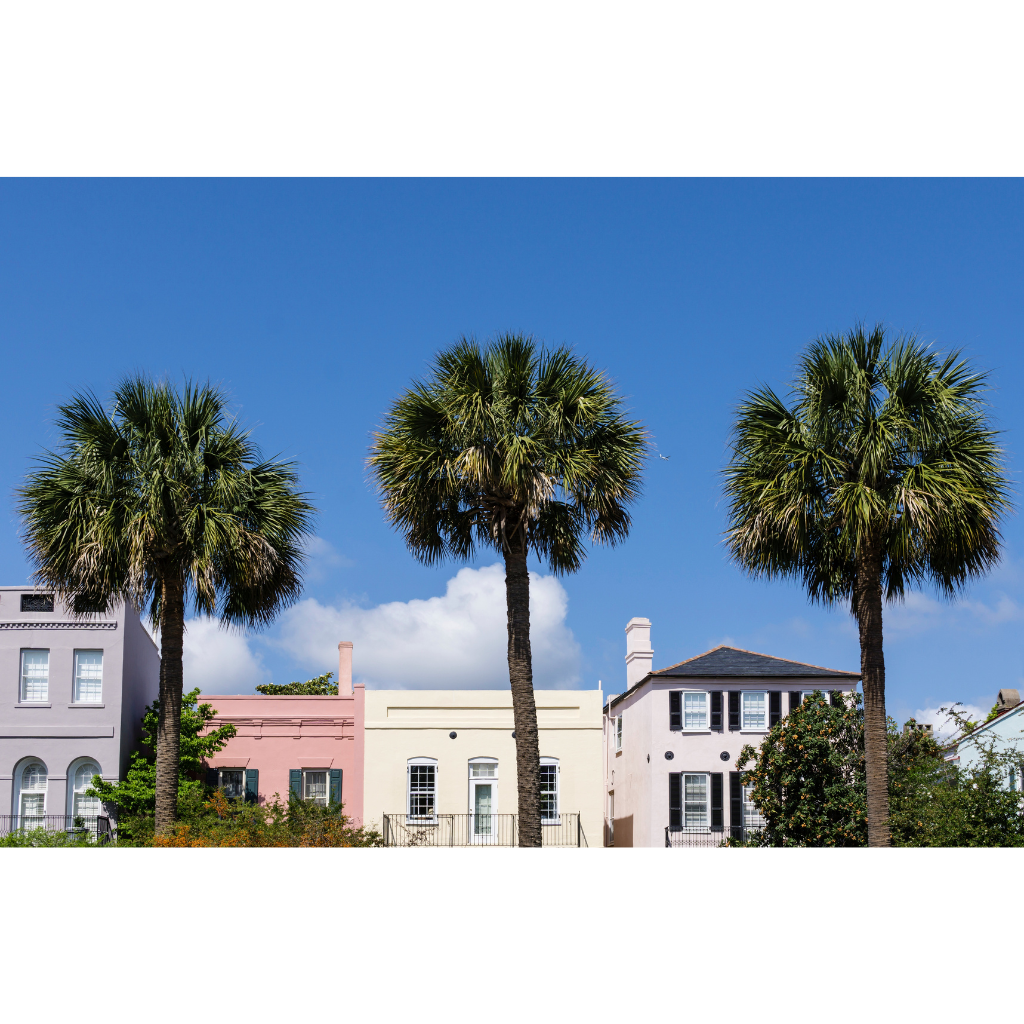Affordable Life and Health Insurance in Charles south Carolina