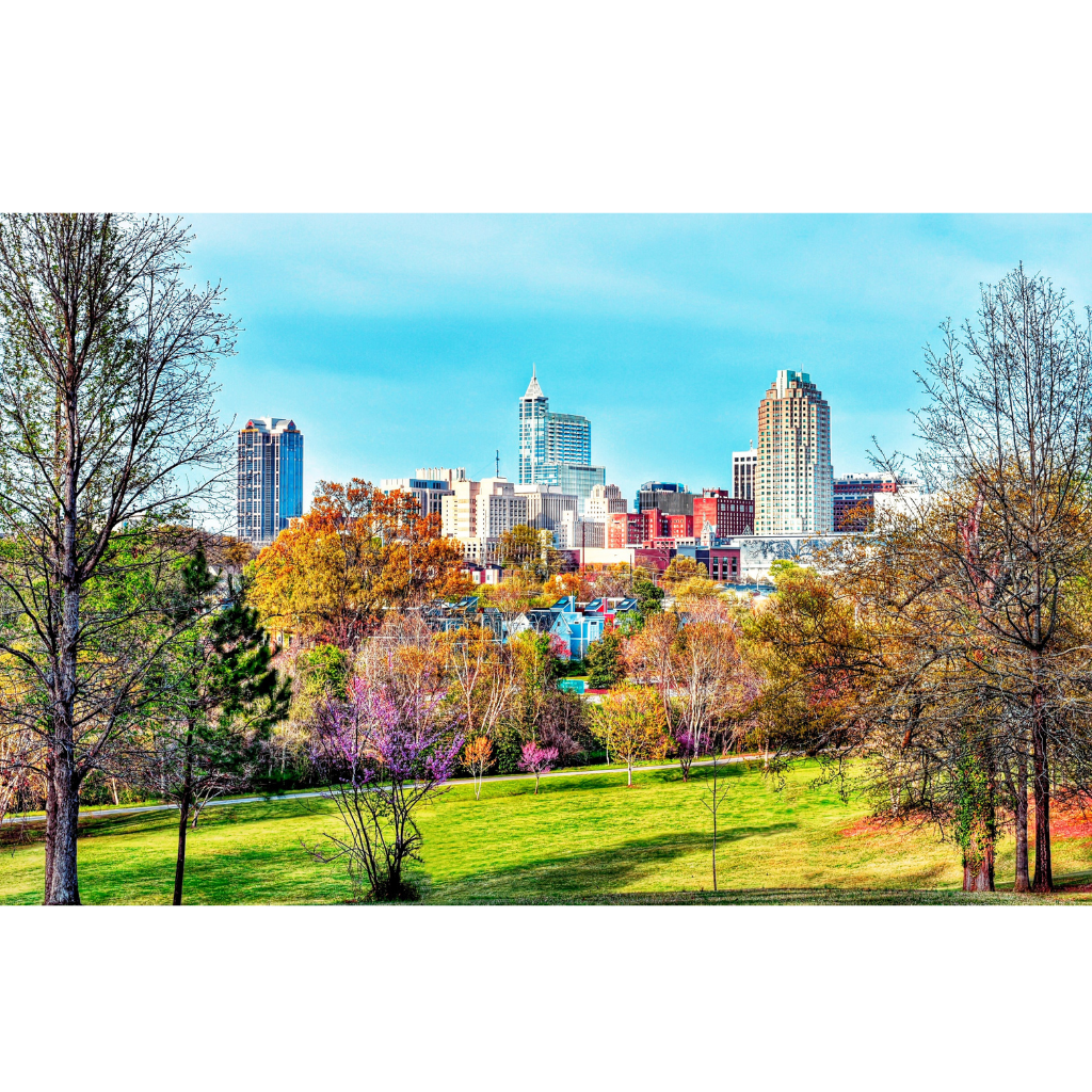Affordable Life and Health Insurance in Raleigh North Carolina